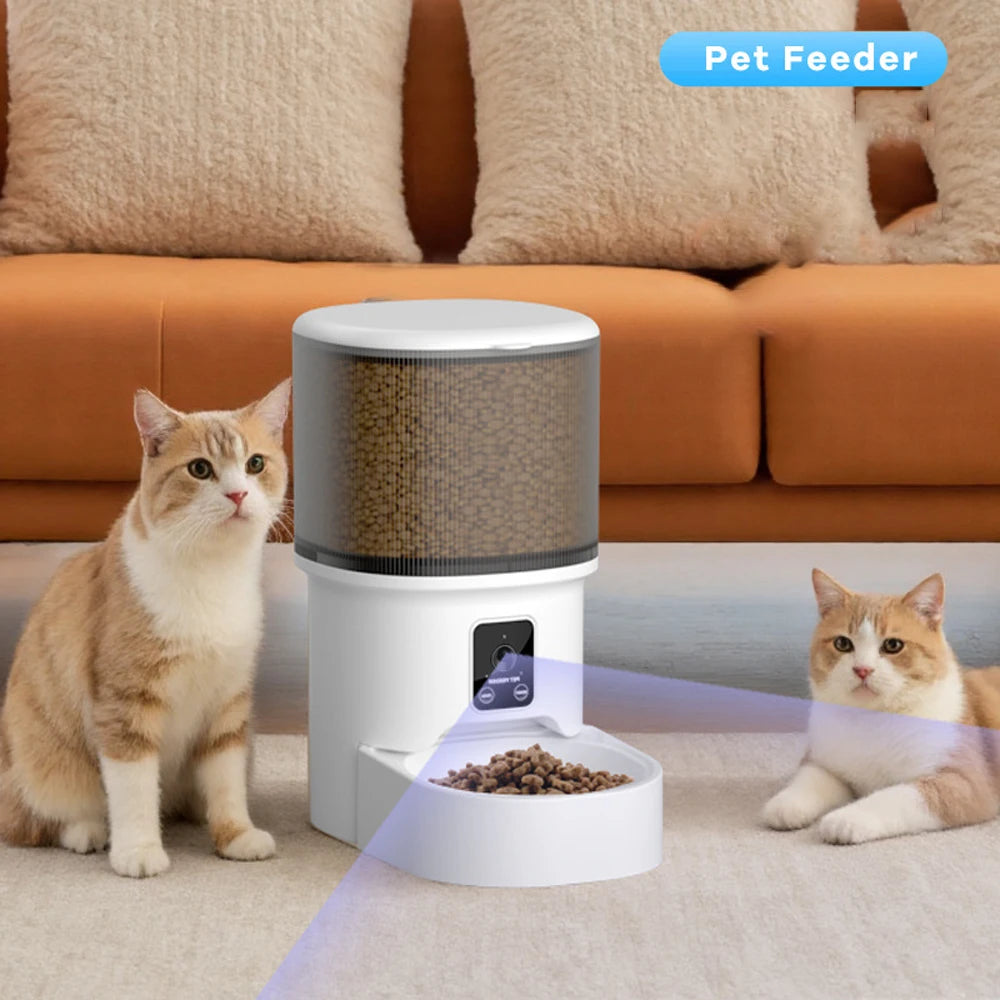 Mangeoire pour chat de grande capacité 4L, application intelligente et caméra haute définition, bol alimentaire en acier inoxydable