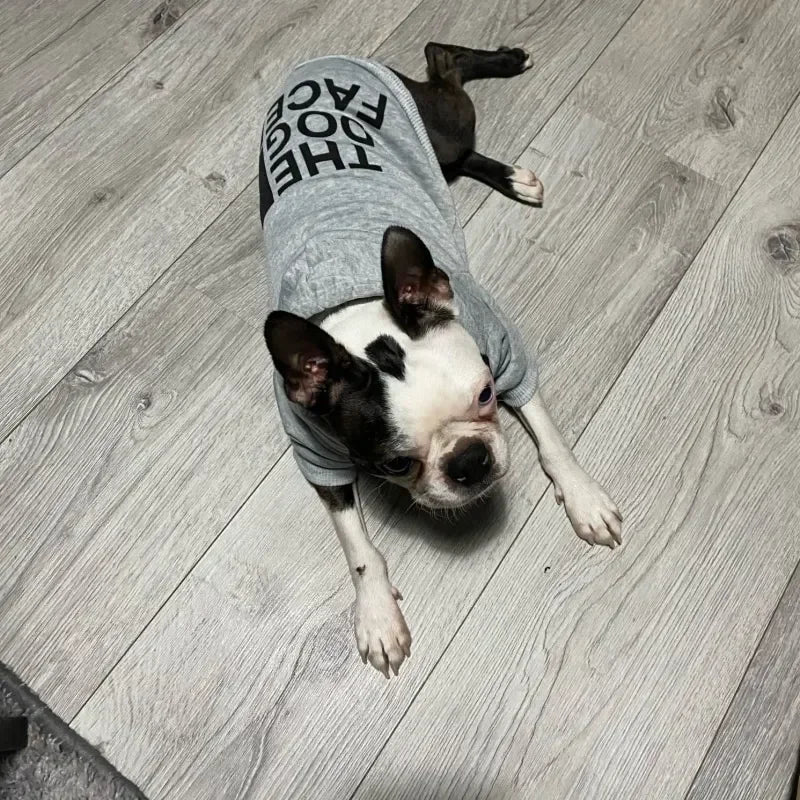 Sweat à Capuche Coupe-Vent Chaud pour Chien (XS à 9XL) | Veste Coton, Adaptée Petit à Grand Chien (Bulldog Français)